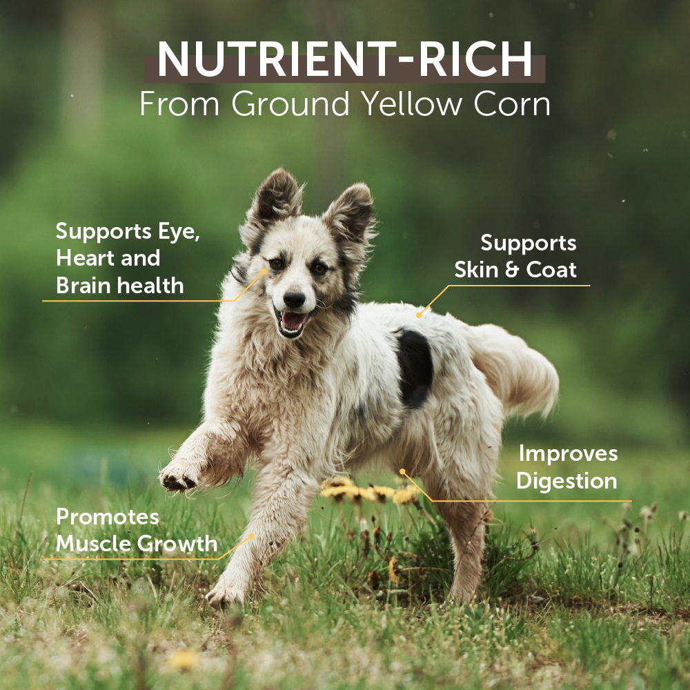 Top Ration Premium Dry Dog Food 18.4kg | Tasty Complete Meal Dog ...