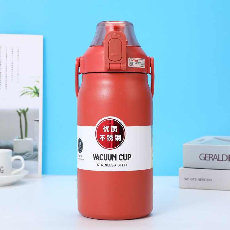 Insulated Water Bottle Stainless Steel SUS 316 Handle Straw Large ...