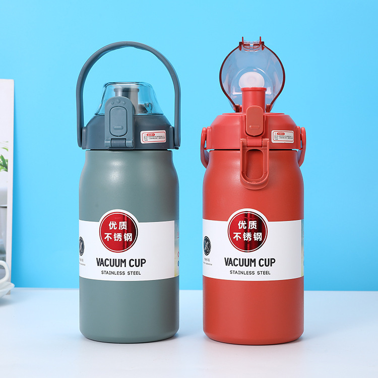 Insulated Water Bottle Stainless Steel SUS 316 Handle Straw Large ...