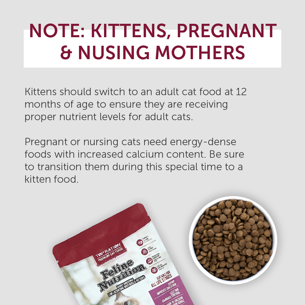Top Ration Premium Dry Cat Food 300g | Kibbles, Complete Diet, Feline ...