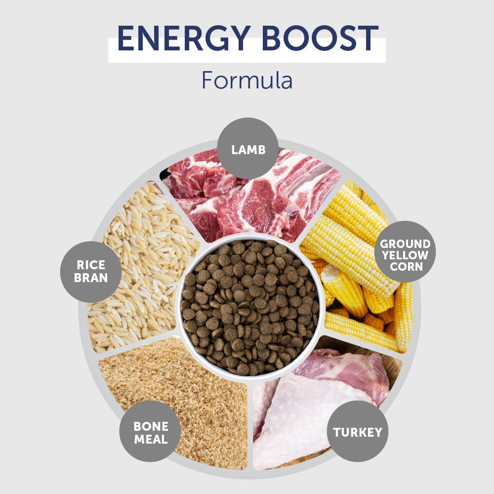 Top Ration Premium Dry Dog Food 18.4kg | Tasty Complete Meal Dog ...