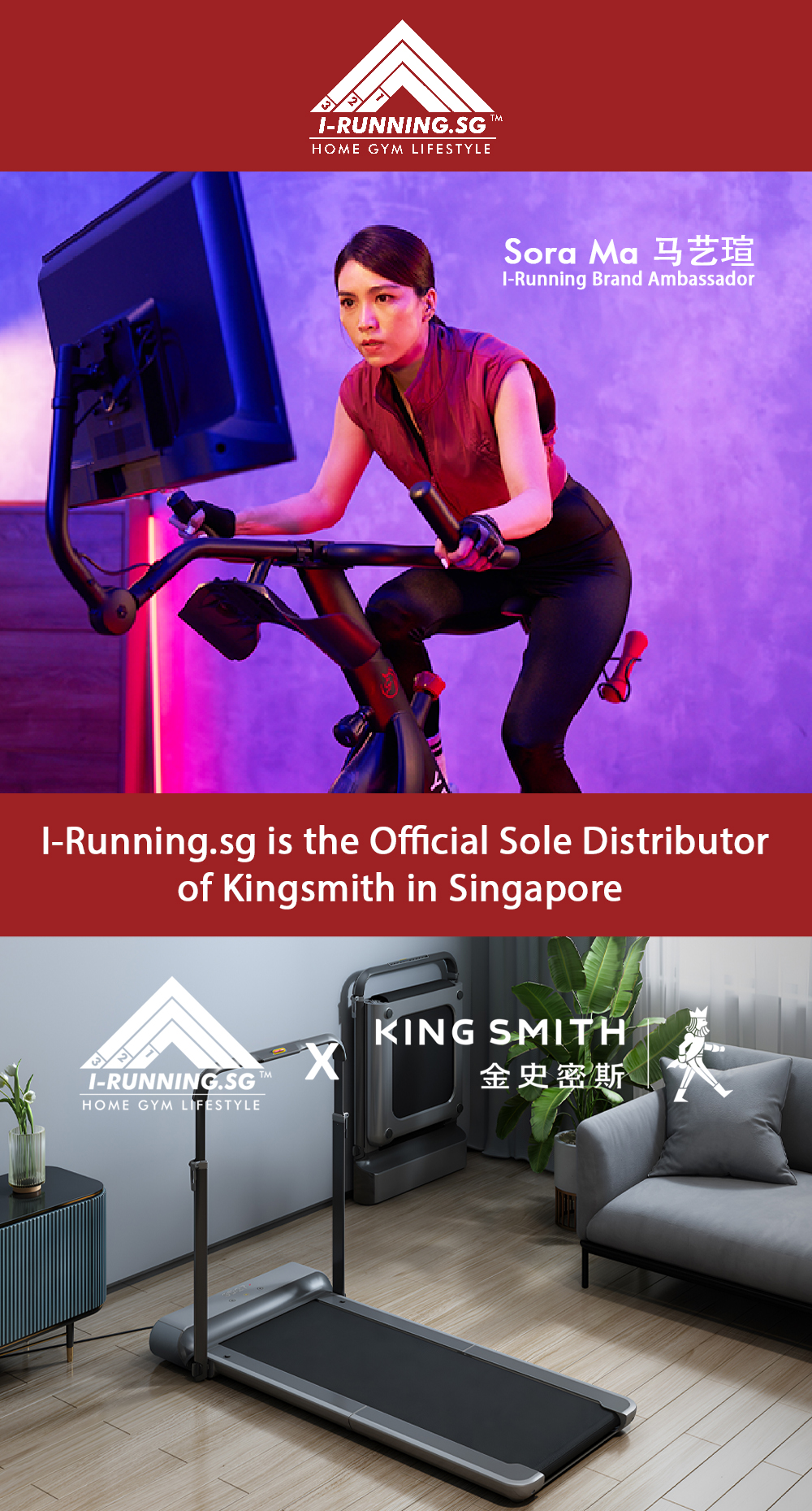 Kingsmith WalkingPad Foldable Treadmill★A1 Pro ★C2 ★R1 Pro ★G1 ★R2 ★K15 ...