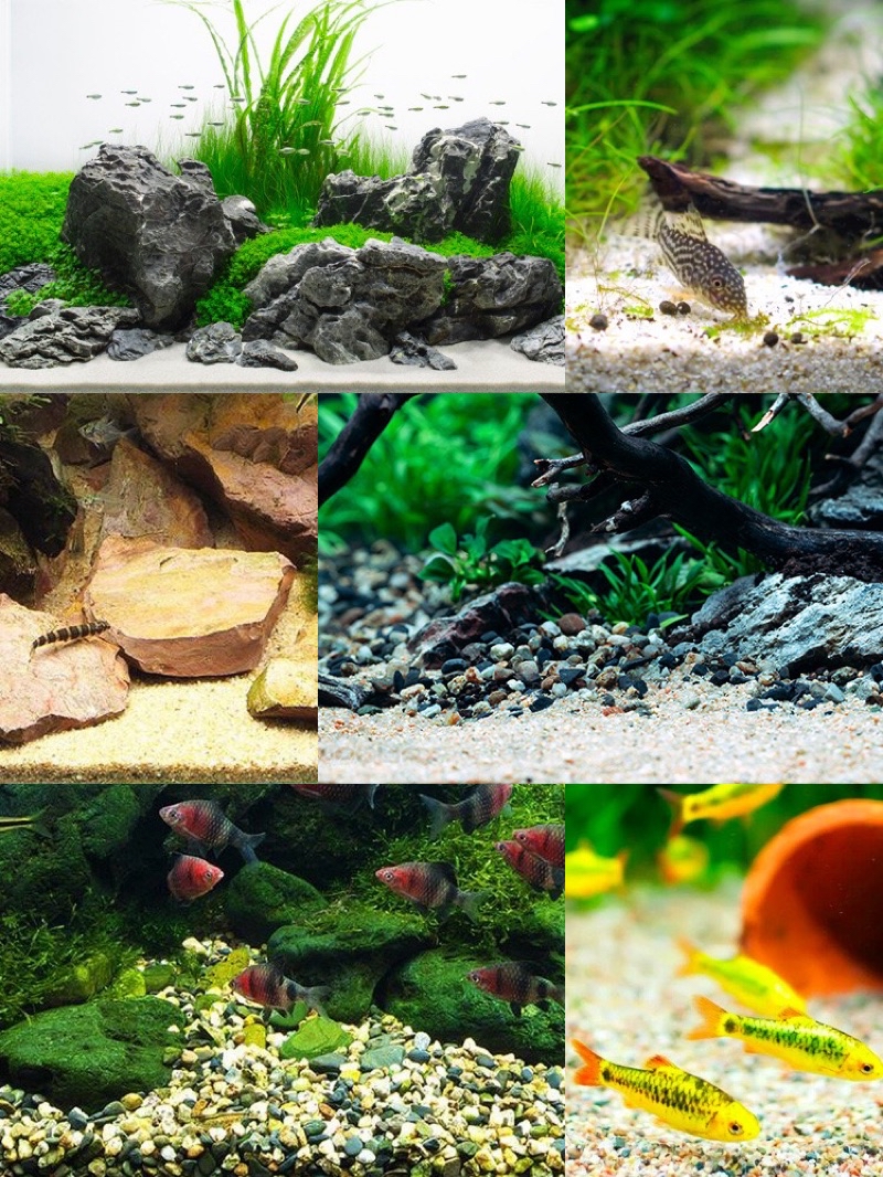 Stunning Alternative Substrates For Goldfish Aquariums That Are Clean image