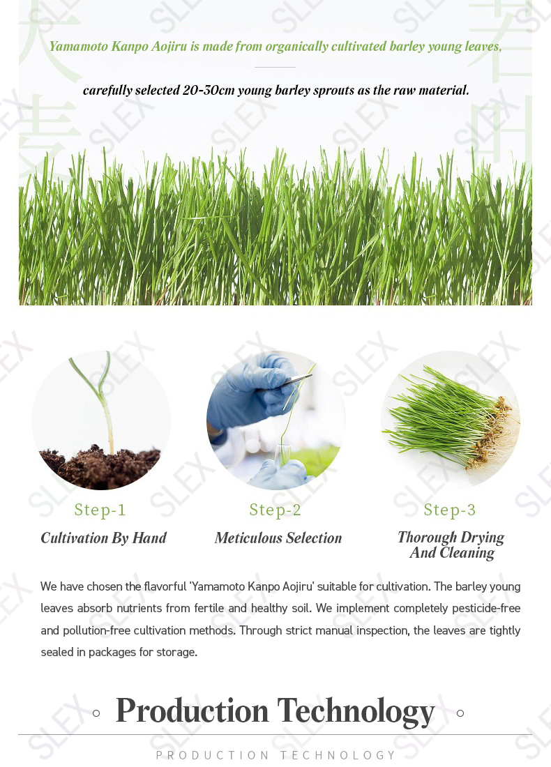 Yamamoto Kanpoh Barley Grass Powder 3g x44 | Japanese Aojiru Green ...