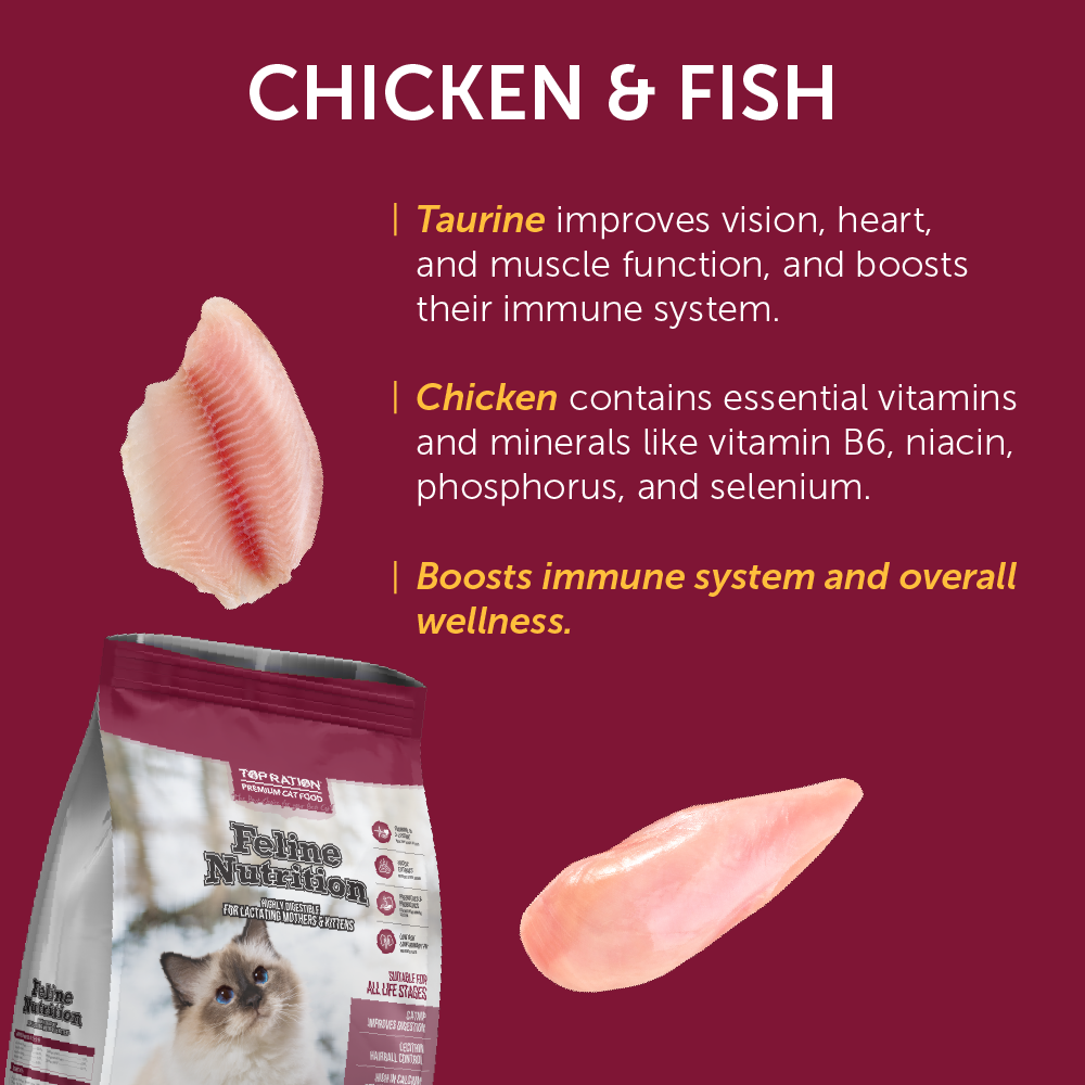 Top Ration Premium Dry Cat Food 300g | Kibbles, Complete Diet, Feline ...