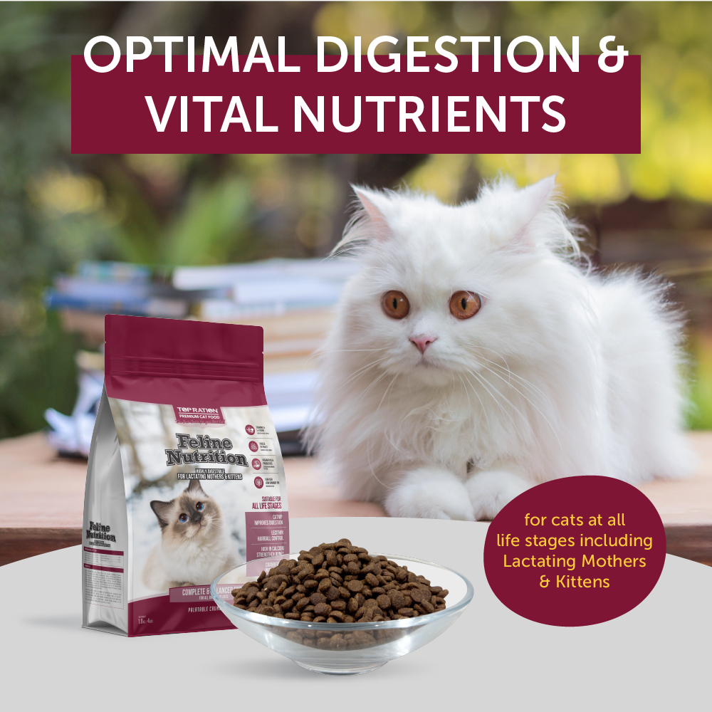 Top Ration Premium Dry Cat Food 6kg | Kibbles, Complete Diet, Feline ...