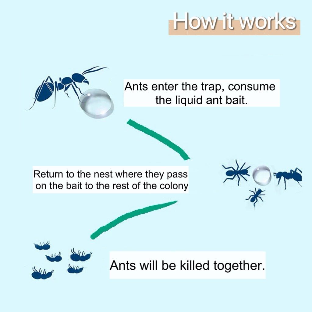 Ant Killer Bait Gel Liquid Poison Anti Ants Kill Colony Trap Better ...