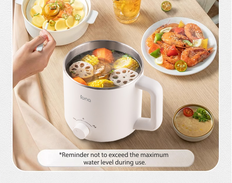 IONA 1.6L Stainless Steel Electric Multi Cooker With Steamer | Multi ...