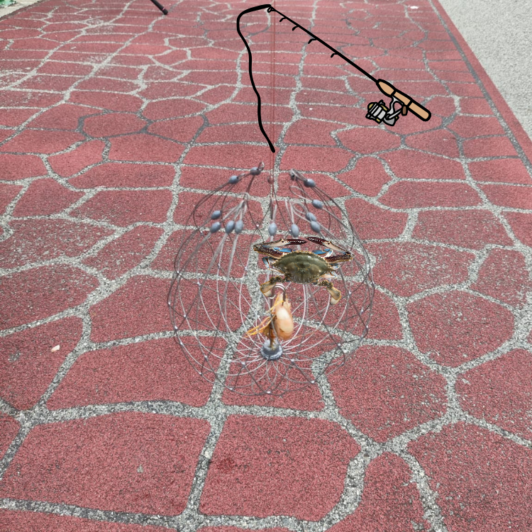 Crab net Crab Snare Rig Crab Trap Fishing | Shopee Singapore