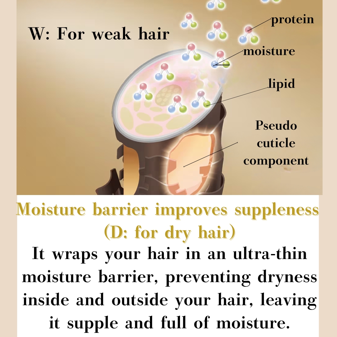 shiseido SUBLIMIC Aqua Intensive Shampoo treatment mask D W series