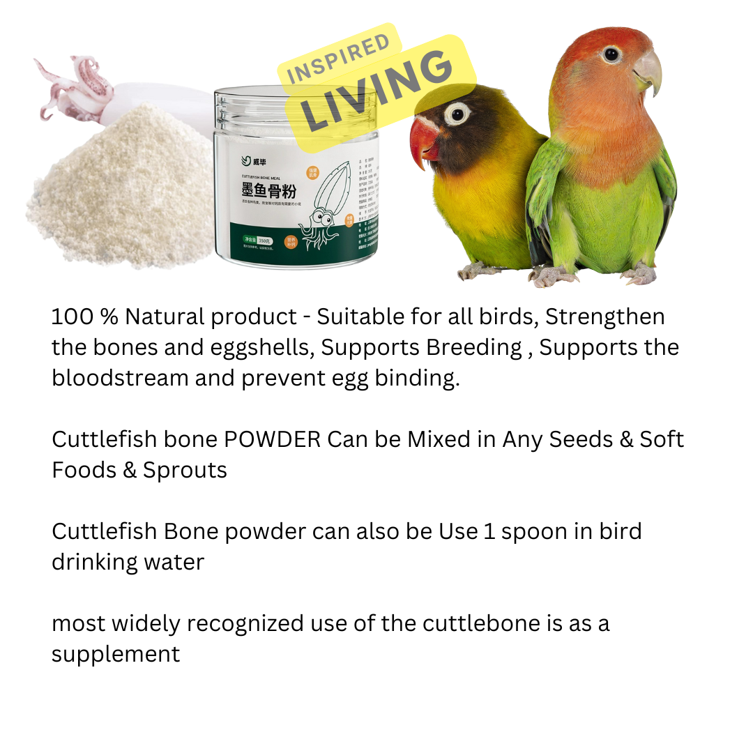 Premium 350g Cuttlefish Bone Powder | Natural Calcium Supplement ...
