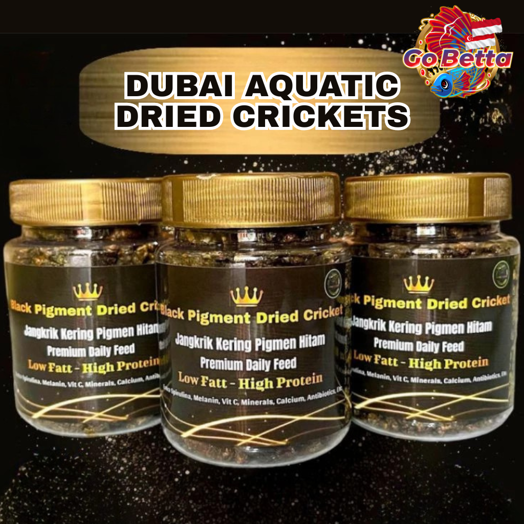 Dried Cricket Fish Food with Extra Spirulina – Nutritious Snack to ...