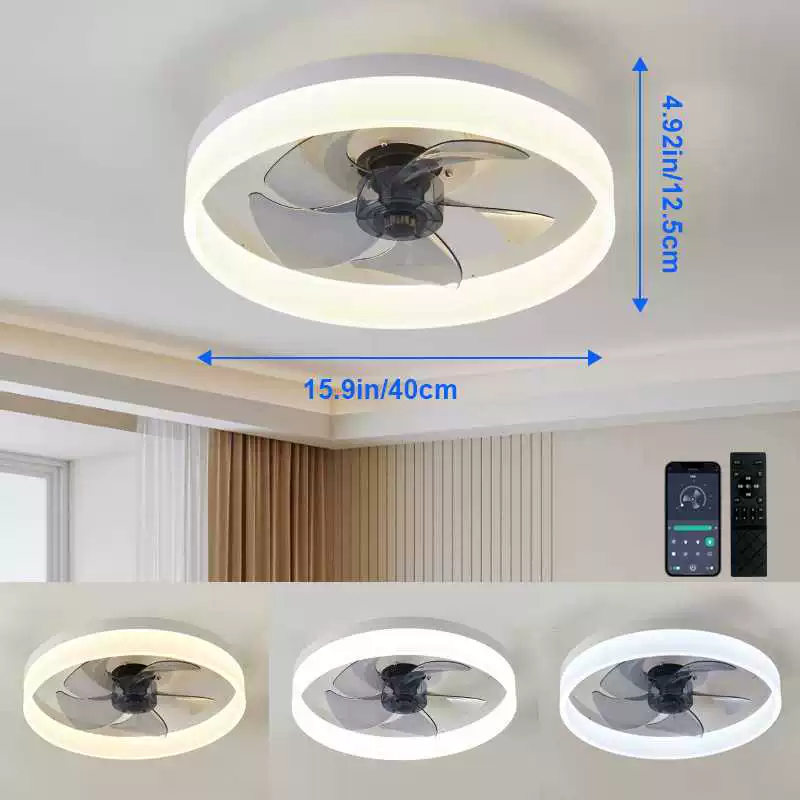 Household LED Fan Light Bedroom Intelligent Remote Control Ceiling Fan