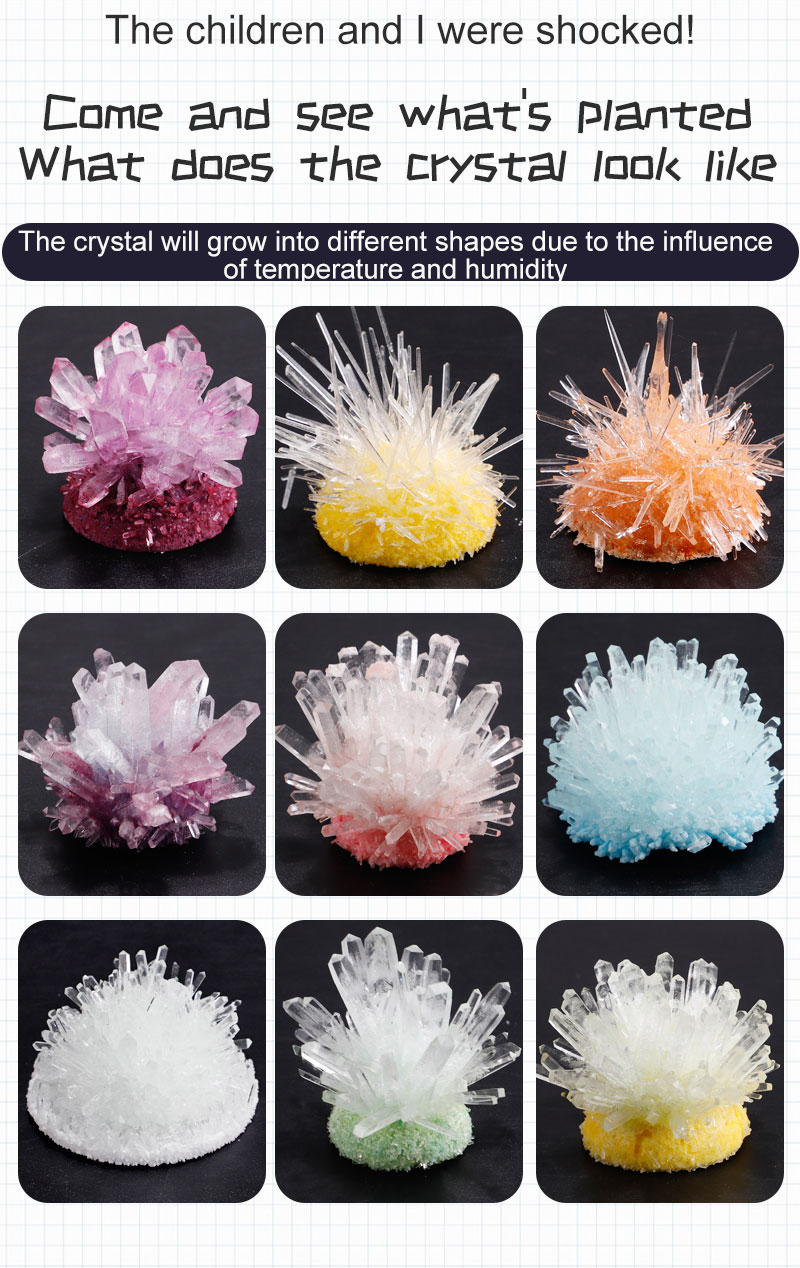 GU [SG stock] DIY Crystal Growing Kit Crystal Growth Experiment Set ...