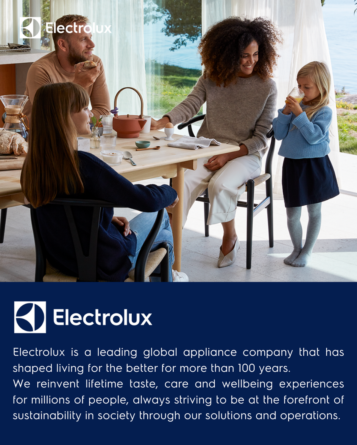 Electrolux Universal-Füße Für Waschmaschine - E4WHPA02 Grau