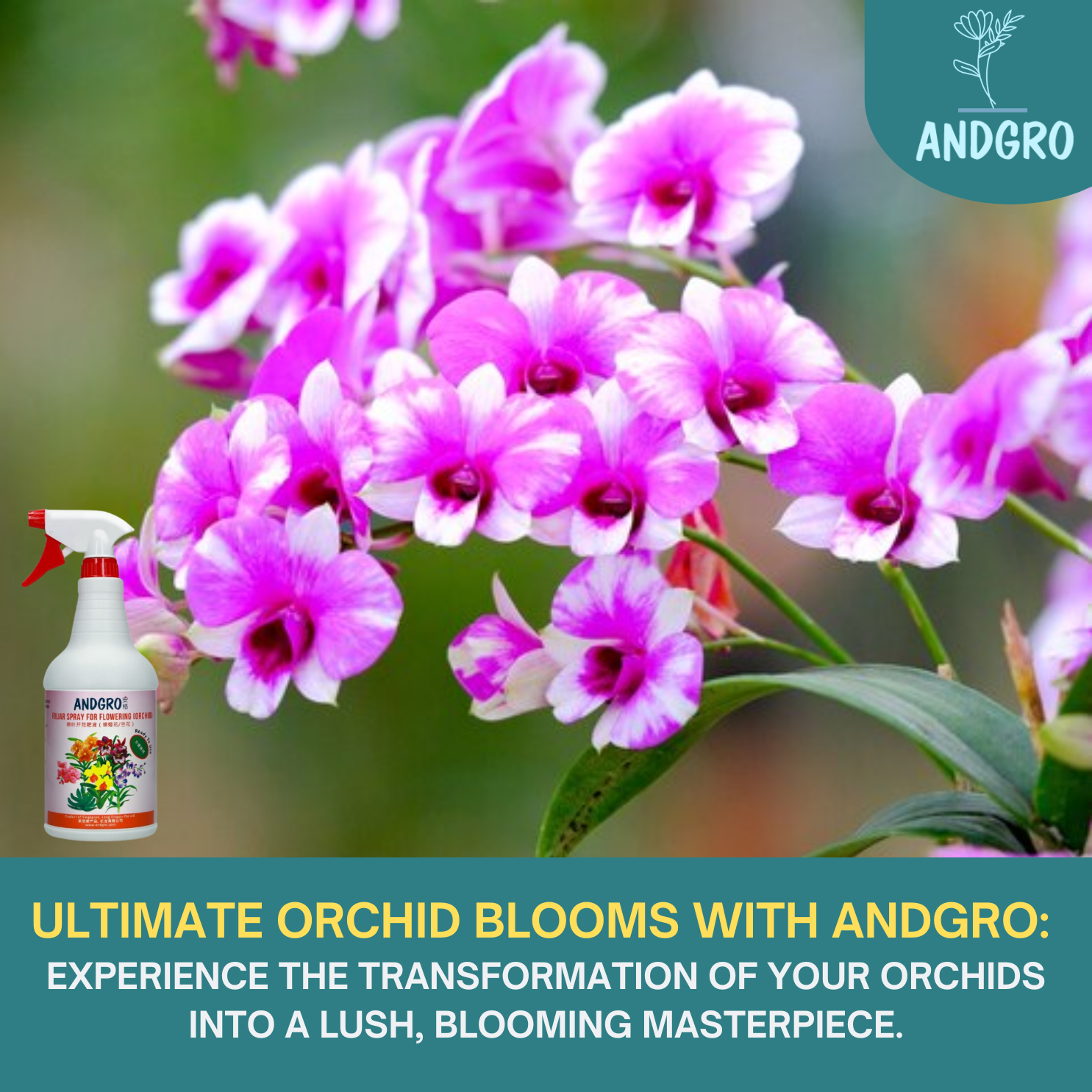 ANDGRO Foliar Spray for Flowering Orchid (1000ml) Shopee Singapore
