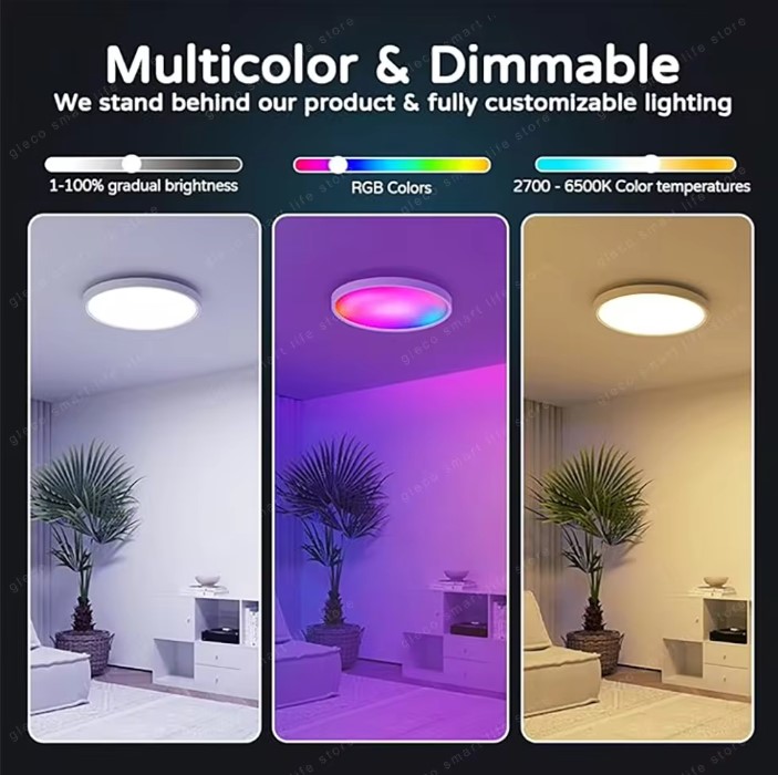 Dimming Led Ceiling Light With Remote Control RGB Modern Ceiling Lamp ...