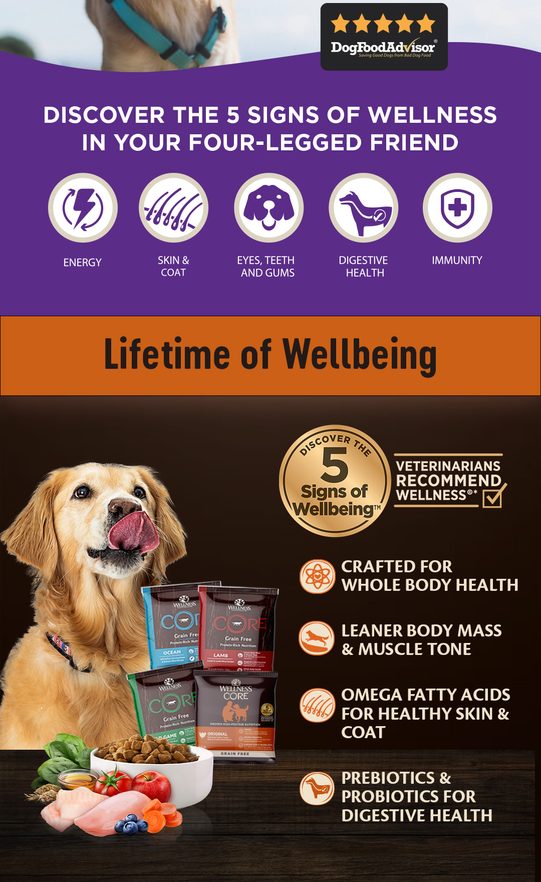[Trial Box | 1per Buyer @ $5.99] Wellness CORE Dog Kibble + Freebies ...
