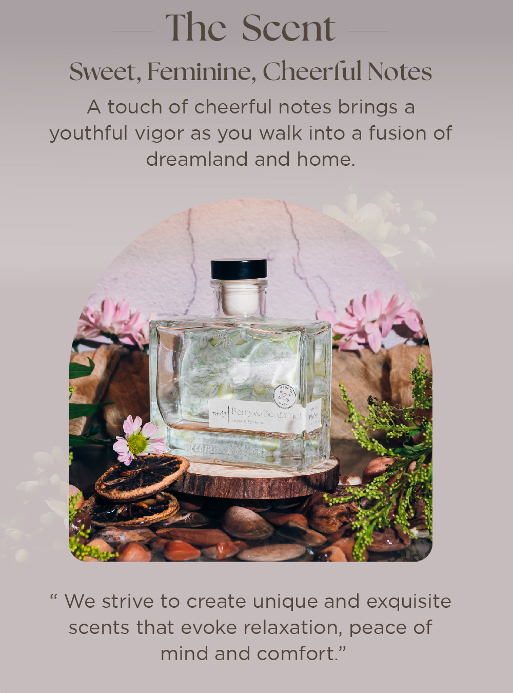 Aroma Matters Berry & Bergamot Reed Diffuser Made In Korea 120ML and ...