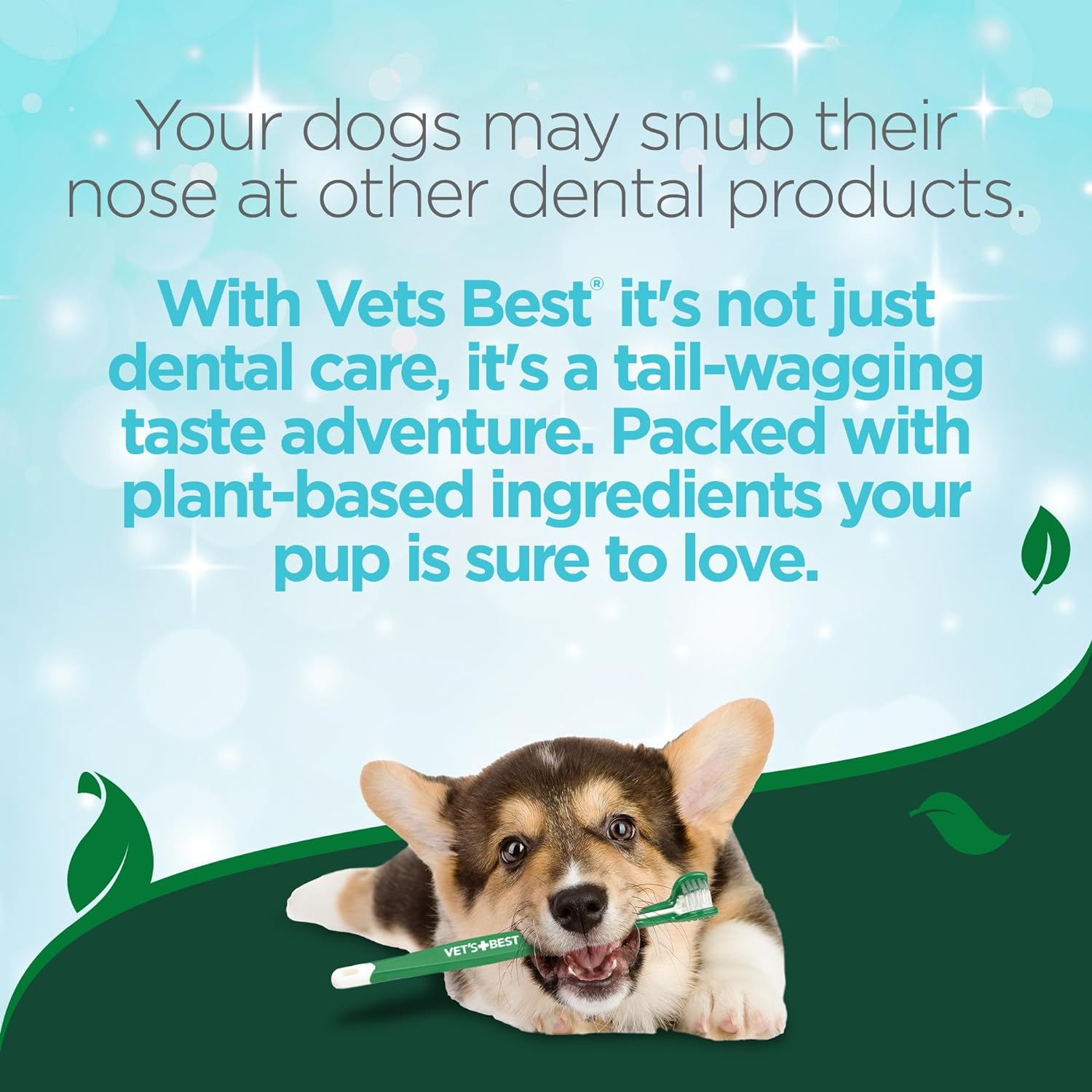 Vet's Best Dog Toothbrush & Enzymatic Dental Gel Toothpaste Kit ... - Natural Dog Dental Care With Soothing Ingredients