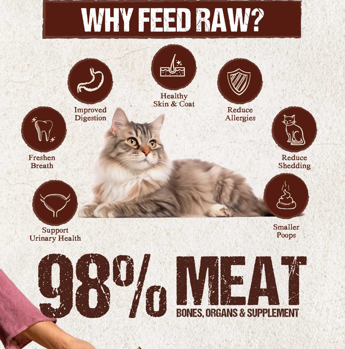 Absolute Bites Raw Chunk Freeze Dried Raw Cat Food / Freeze Dried Cat