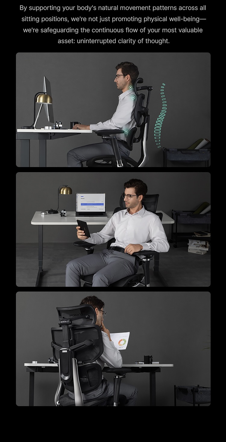 Hinomi X2 Pro Ergonomic Chair With 3D Back Support, Home Office Chair ...