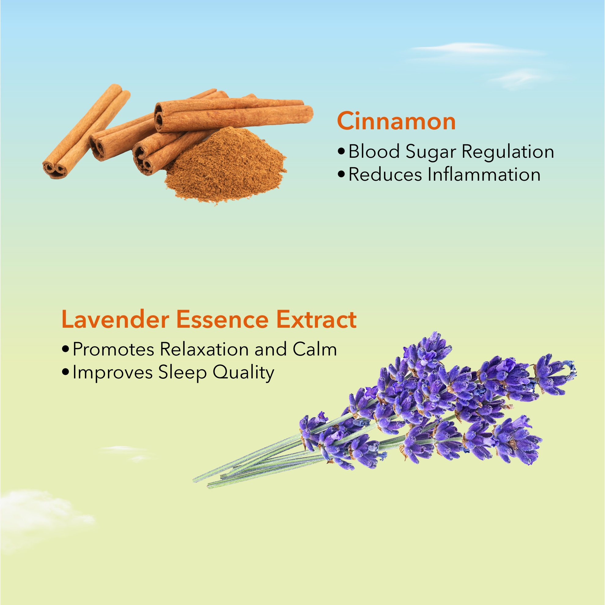 AVALON Sleep Patch 5 Packs | Improves Sleep Quality, Relieves Cold Feet ...