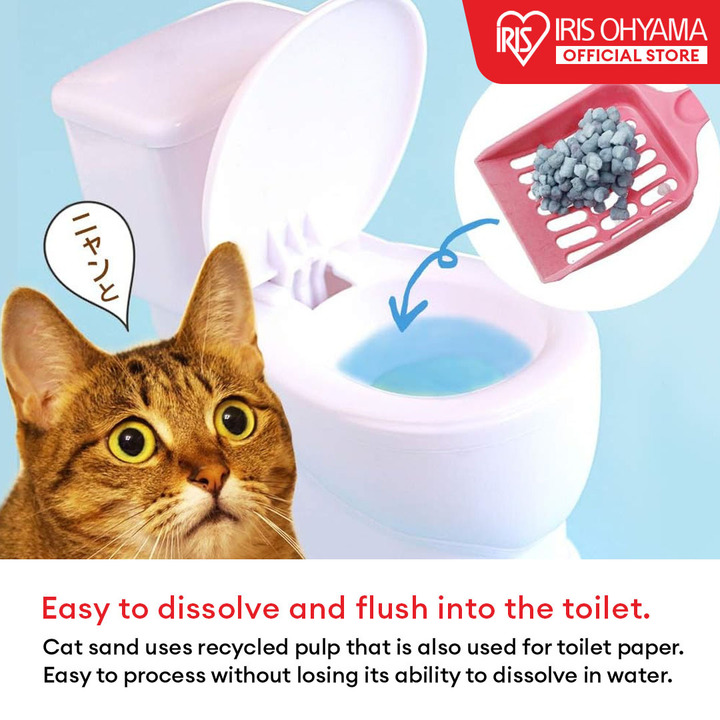 Toilet Paper Cat Using Toilet And Flushing Plumbing Can You Flush