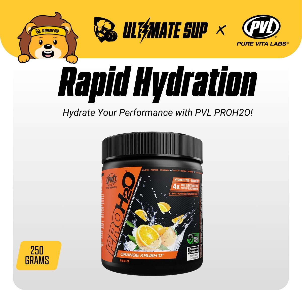 PVL PROH2O Rapid Hydration Mix, Electrolyte Replenishment, Supports ...