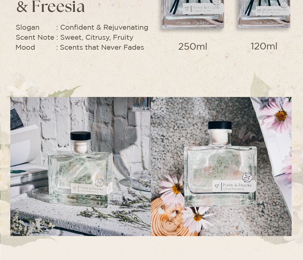 Aroma Matters Peony & Freesia Reed Diffuser Made In Korea 120ml and ...