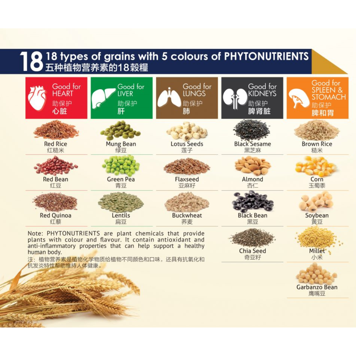GoodMorning V18 Multigrains with Ginger 30gm x 6sachets - by Food ...