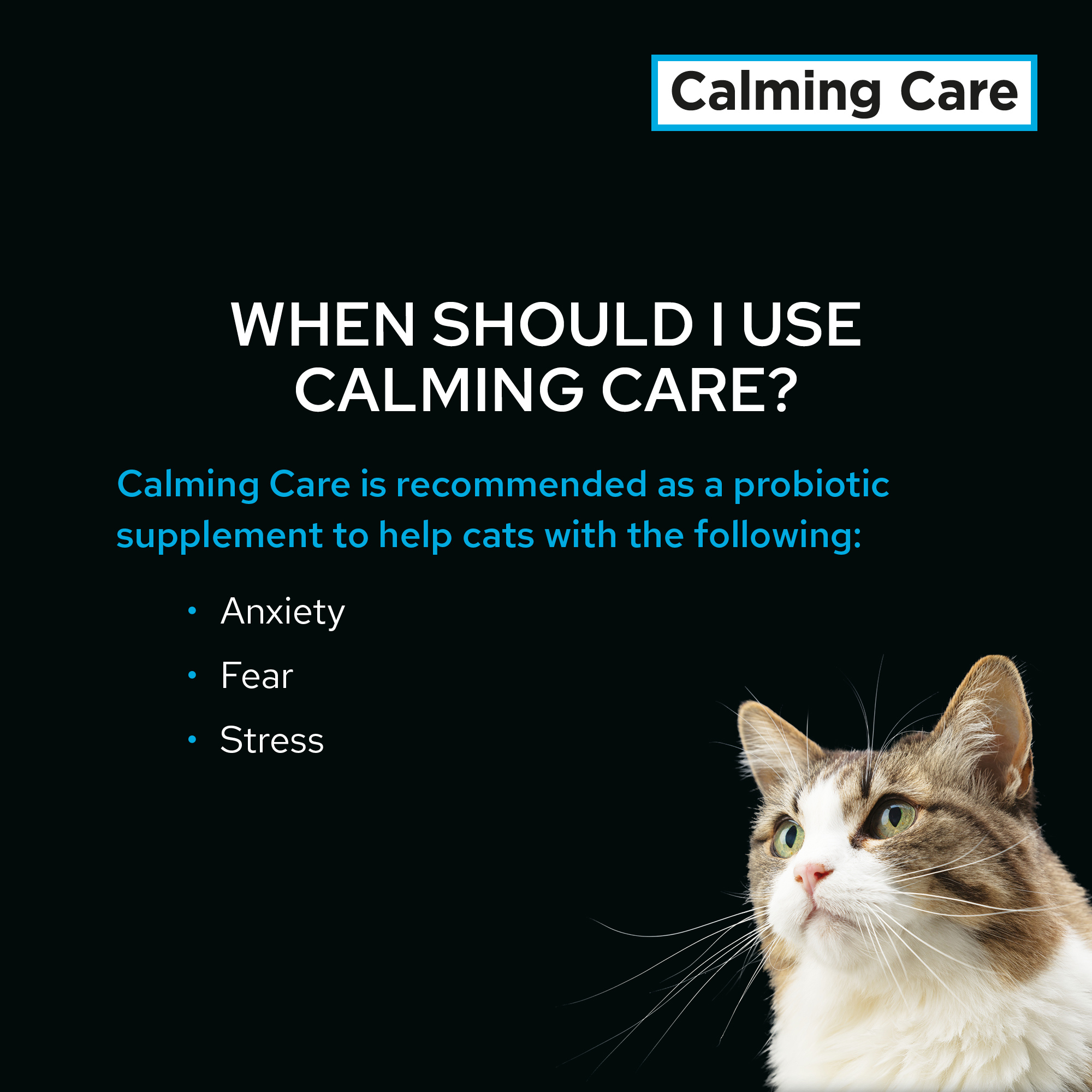 Image result for (NEW ARRIVAL) PRO PLAN Feline/Canine Veterinary Supplement Calming Care ...
