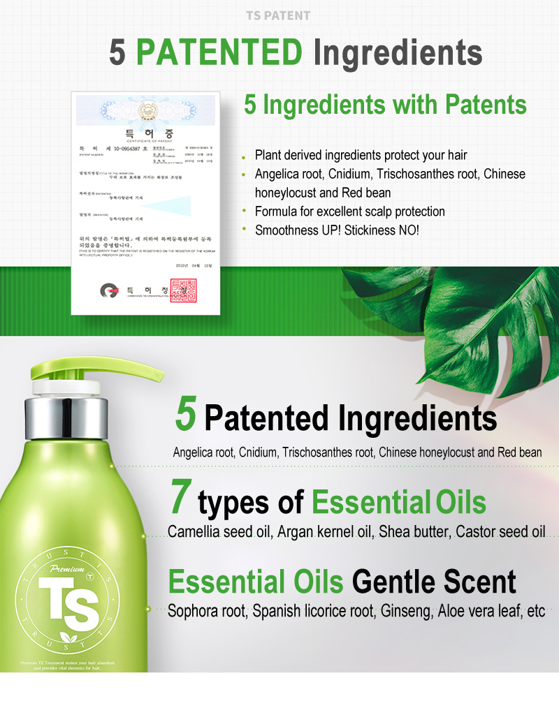 [Hair Loss Care] TS Shampoo & Treatment | Shopee Singapore