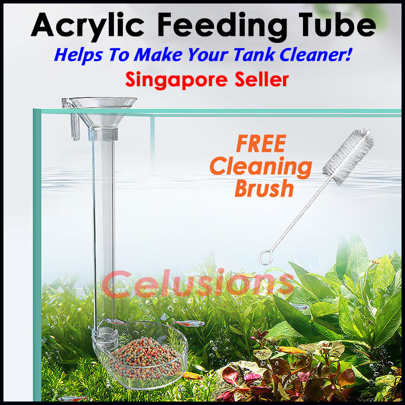 Shrimp Feeding Tube & Dish Set – 15" Tube With Food Dish For Goldfish, Shrimp, Aquarium