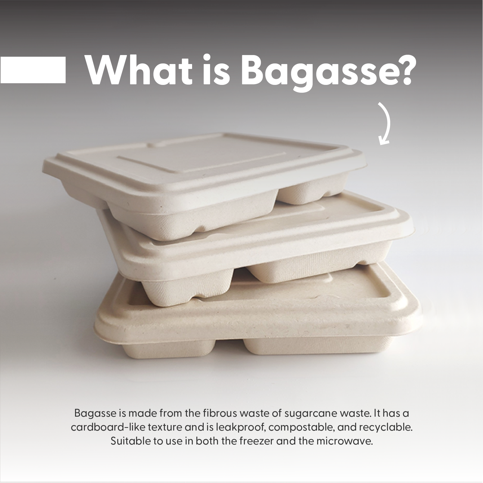 Bagasse Sugarcane Pulp Bio-degradable Sugar Cane Disposable Bowls Paper ...