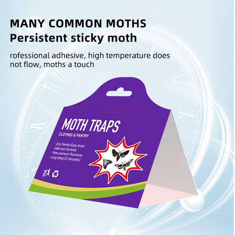 ⚡SG HOT SALE⚡Moth Traps Physical Flying Bug Trap Rice Food Moth ...