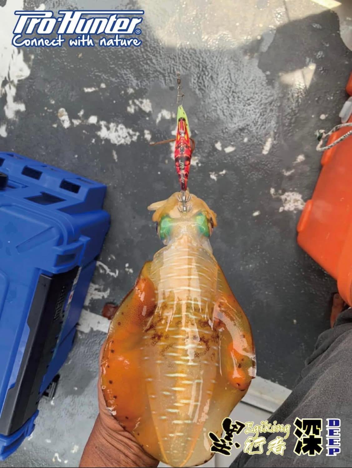Prohunter X Egiking Fast Sinking Squid Jig Deep 8cm, 40g/50g Model For ...