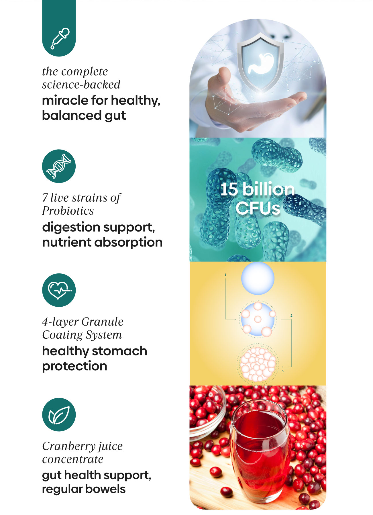 Purest Co Daily Pre+Probiotic Melts (Gut Health, Debloat & Digestion ...