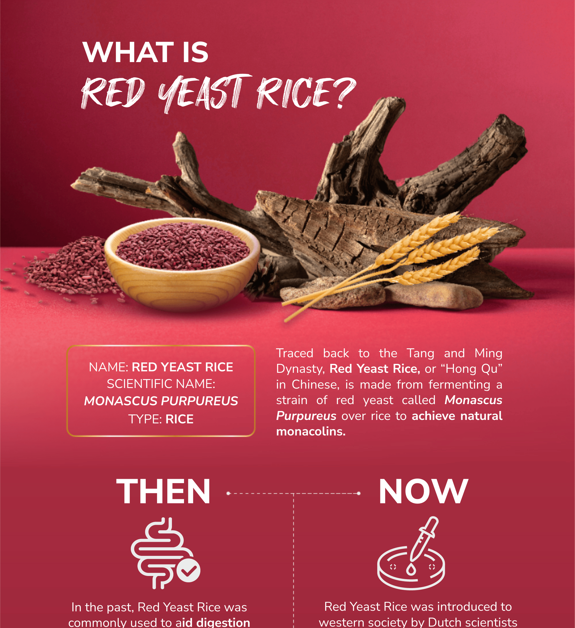 [LAC ACTIVATED] Red Yeast Rice - Naturally Occuring Monacolin K (60 ...