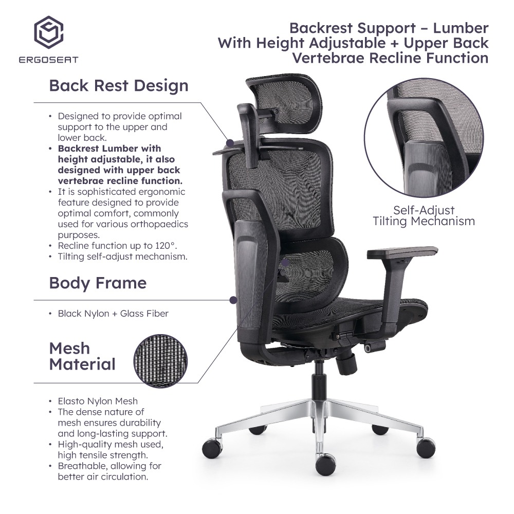 Ergoseat Transverse Ergonomic Home Office Chair With Backrest Lumber ...