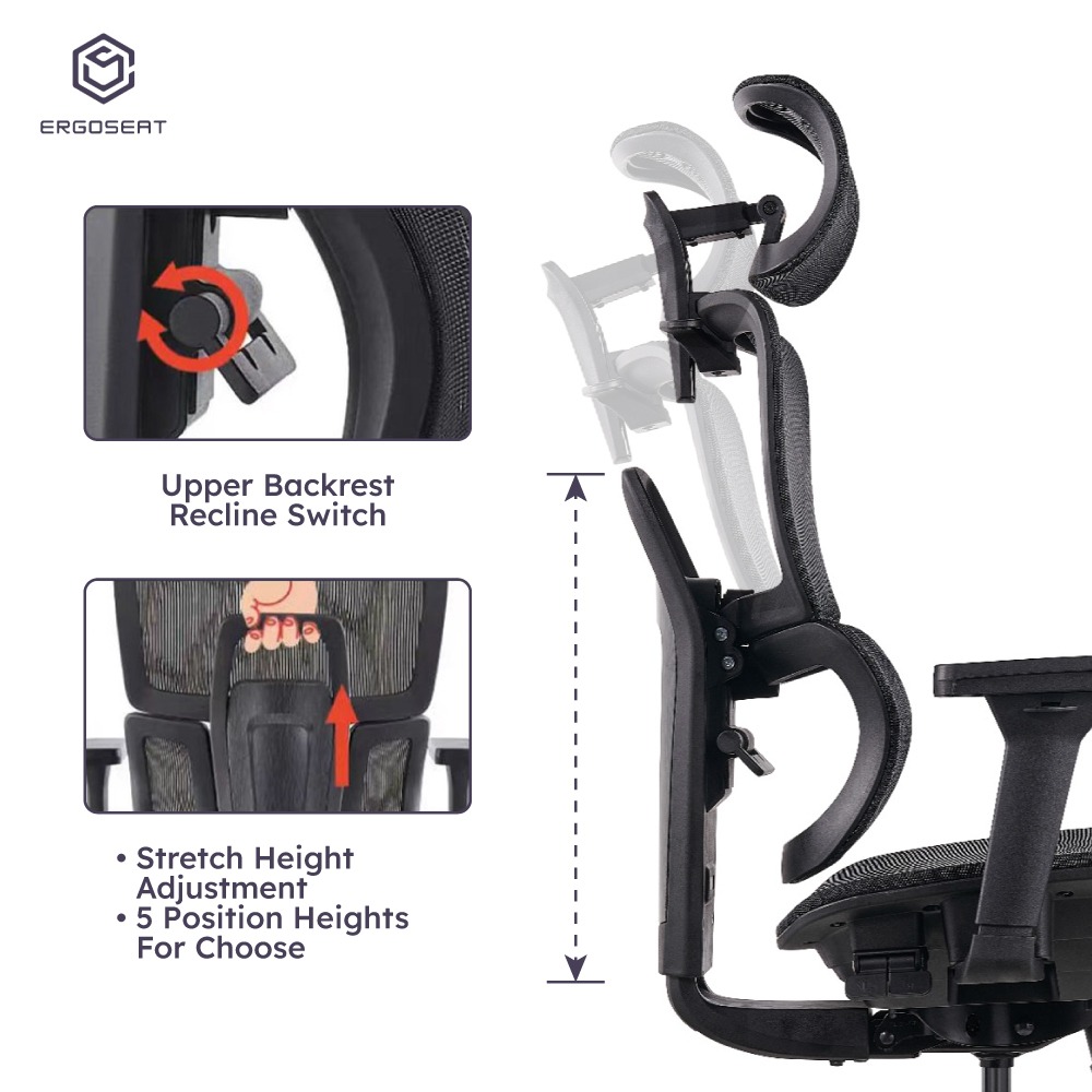 Ergoseat Transverse Ergonomic Home Office Chair With Backrest Lumber ...