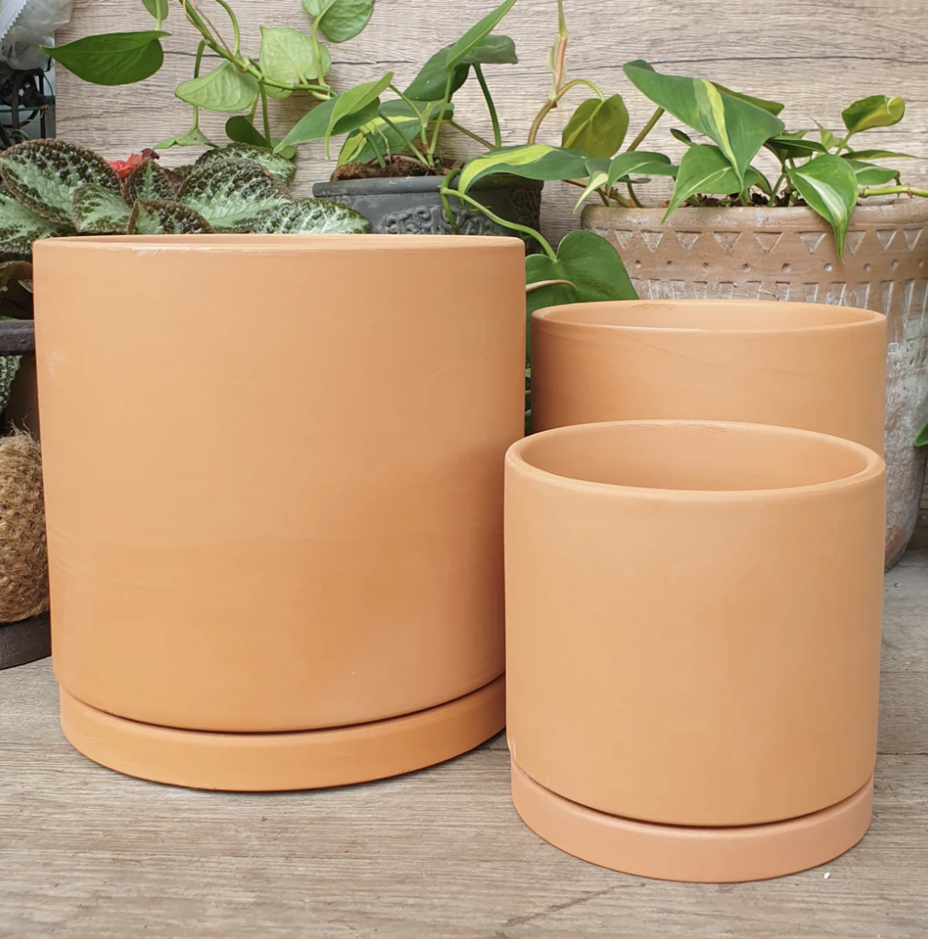 The Leaferie Terracotta E Flowerpot . flowerpots . flower pot . plant ...