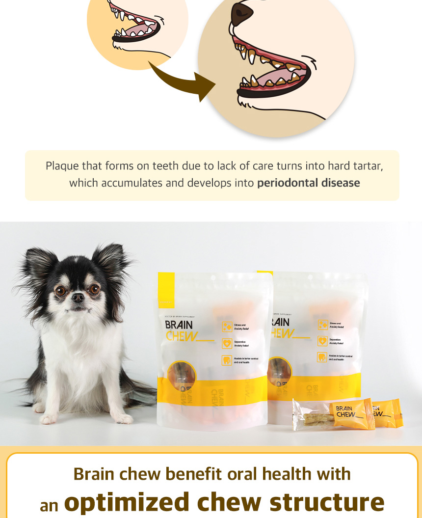 [Doctor By BRAIN CHEW] Cognitive and Brain Aging Notress Dental Chew ...