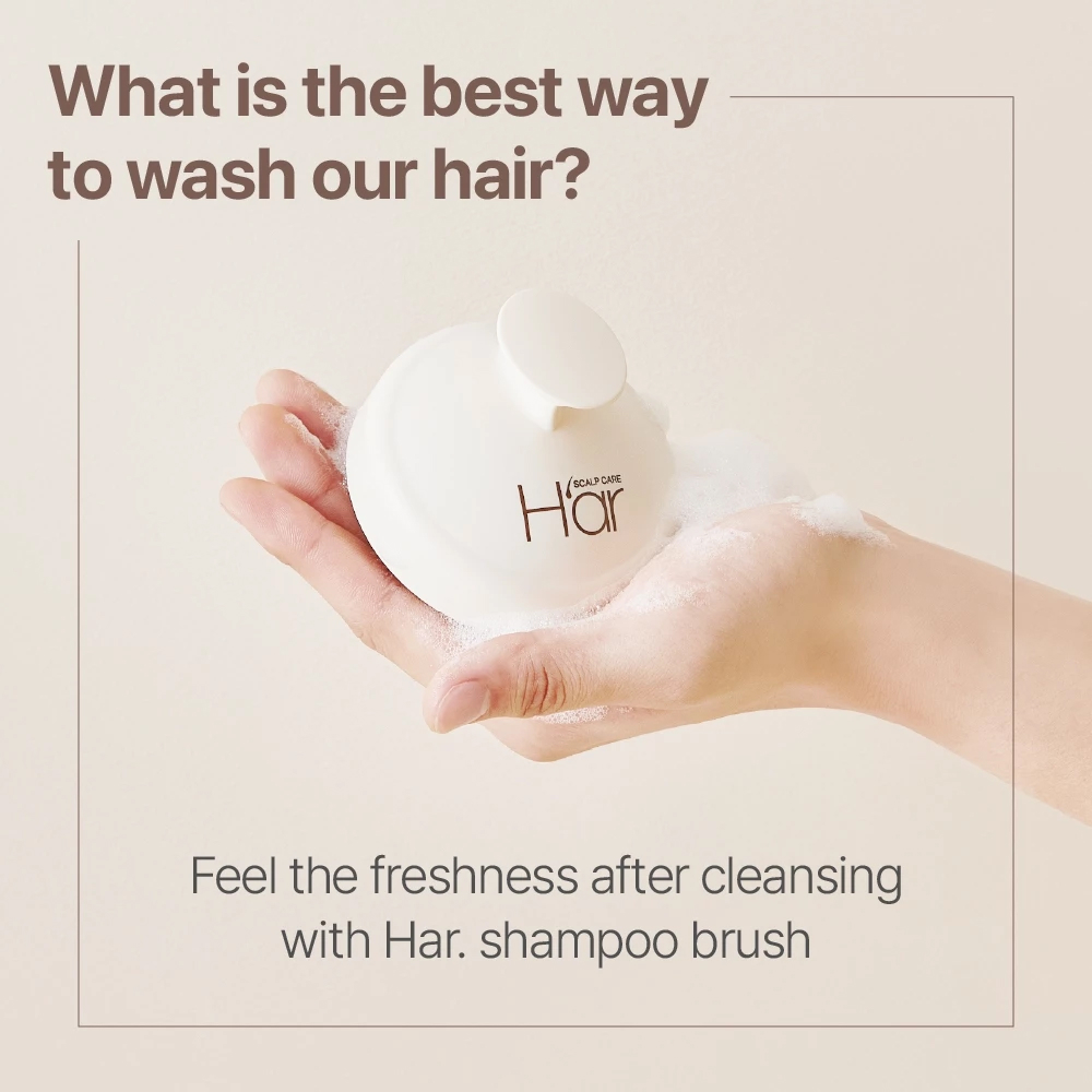 [H’ar Official] Daily Scalp Massage Brush [ Clean and Soft. No Damage ...