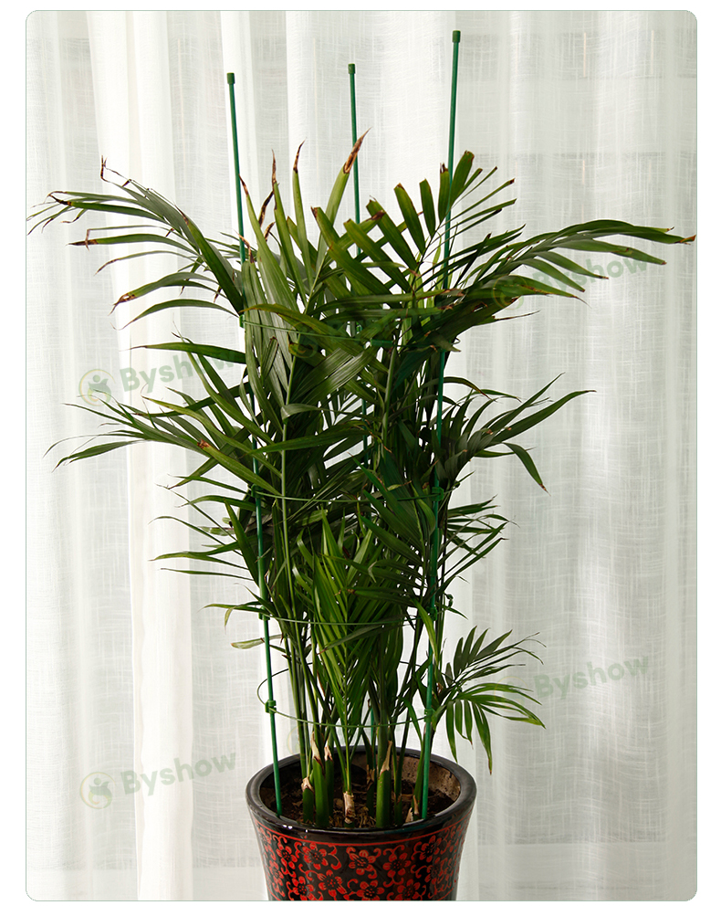 【Byshow】Plant Climbing Support Stick Net Conical Flower Rack Ring ...
