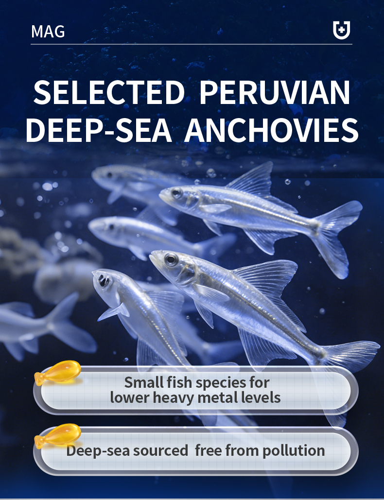 MAG IFOS Certified 98.3% Deep Ocean Fish Oil 500mg High Omega-3(DHA&EPA ...