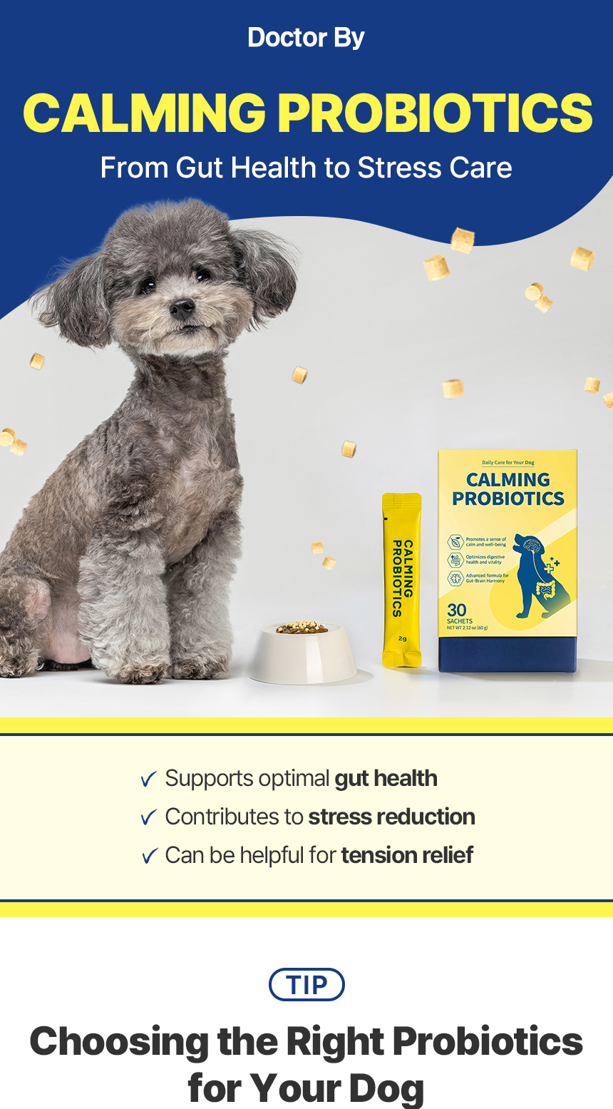 Curated visual reference: Dog Constipation Relief With Probiotics Reference: Doctor By Calming Probiotics Pet Dog Stress Diarrhea Constipation