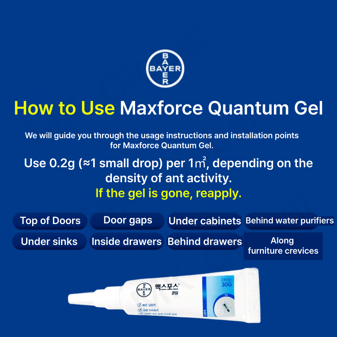 [BAYER] Maxforce Quantum 30g Ant Killer Bait | Insecticide Max Force ...