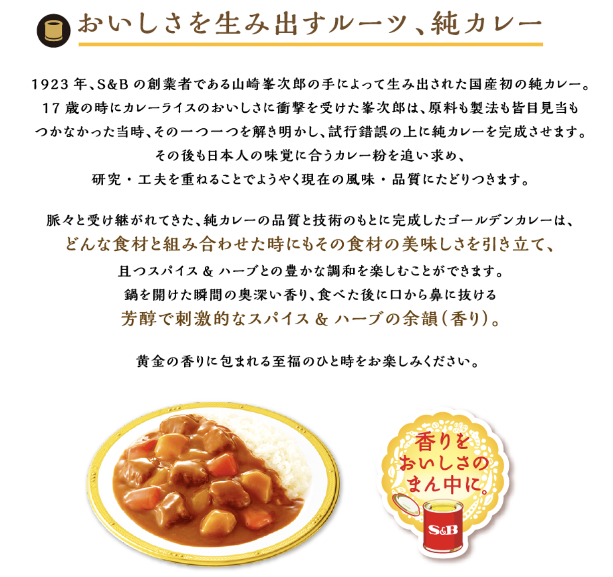 S&B Golden Curry Roux | Imported from Japan Rich Sauce Mix | Best ...