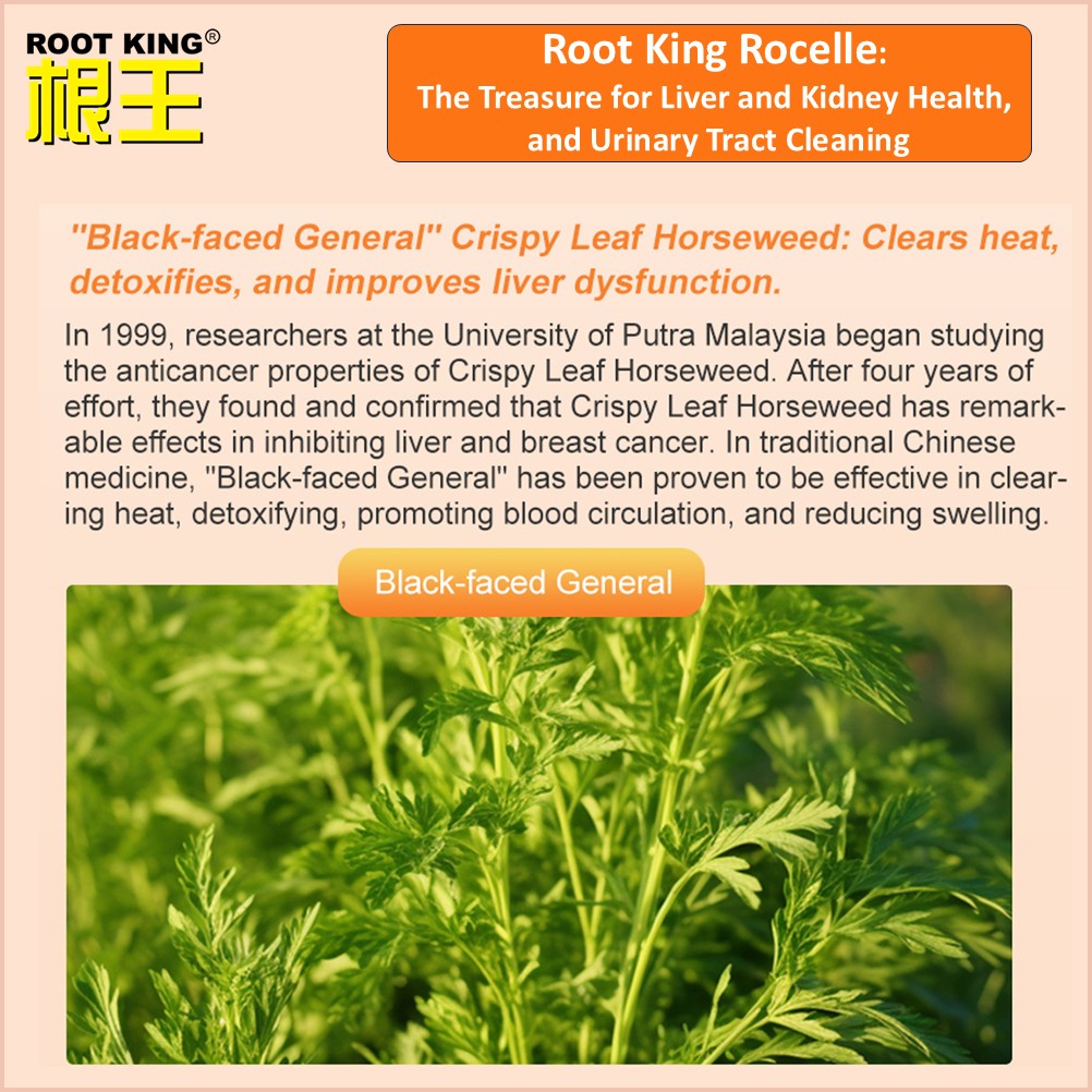 Root King Rocelle 根王洛神 Urinary Tract, Kidney Health, Hibiscus ...